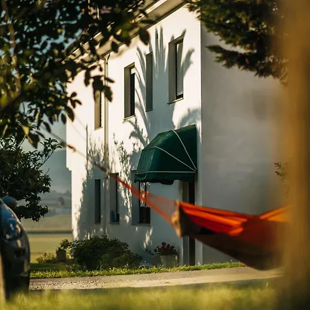 Liquid Surfhouse * ラングレ