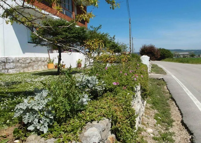 Liquid Surfhouse Hostel *